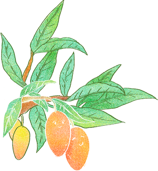 蜜旺果舖愛文芒果乾商務送禮