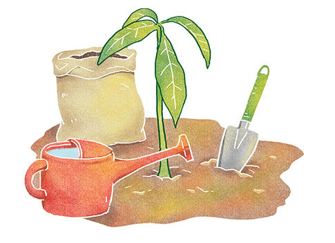 蜜旺果舖愛文芒果乾商務送禮