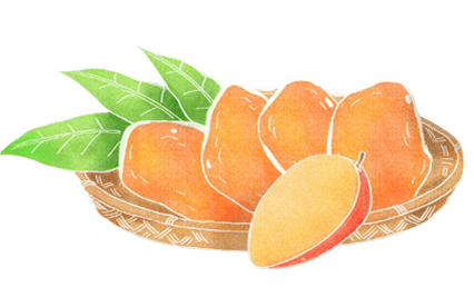 台南玉井蜜旺年節禮盒