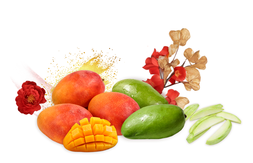 蜜旺果鋪芒果乾禮盒