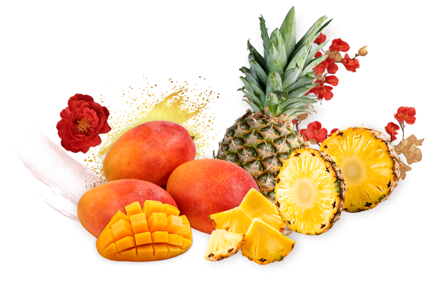 蜜旺果鋪芒果乾禮盒