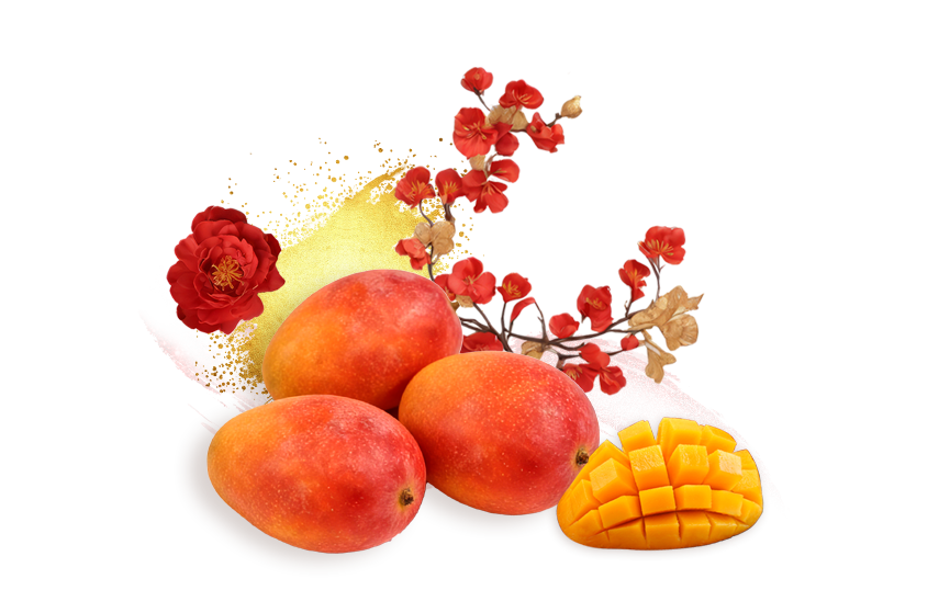 蜜旺果鋪芒果乾禮盒