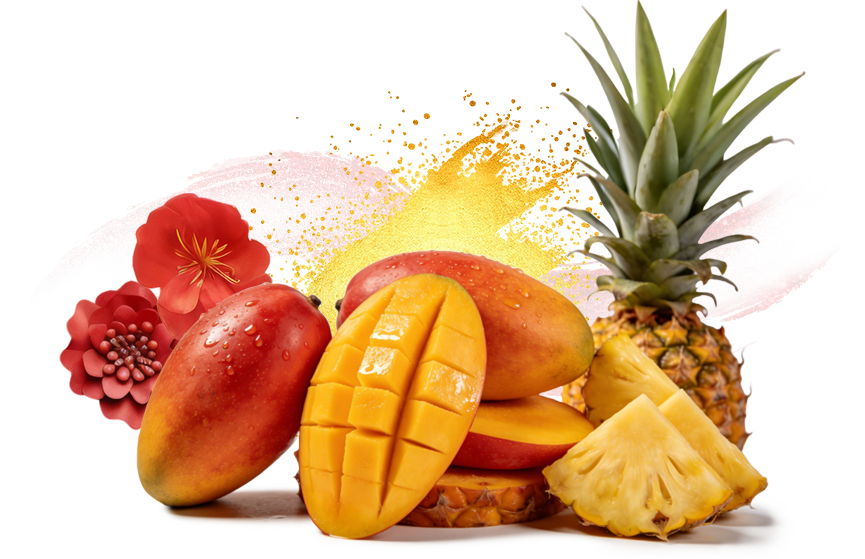 蜜旺果鋪芒果乾禮盒