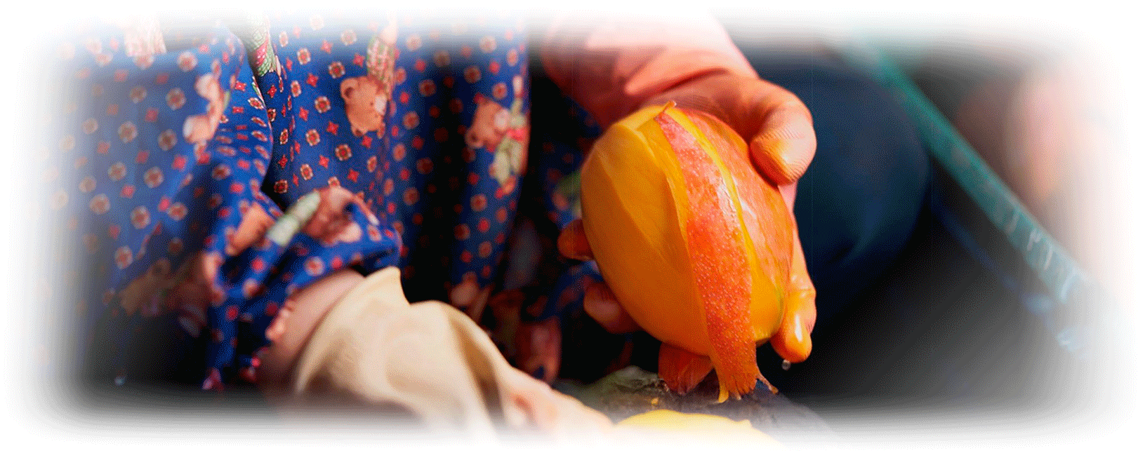 台南玉井蜜旺推薦產品