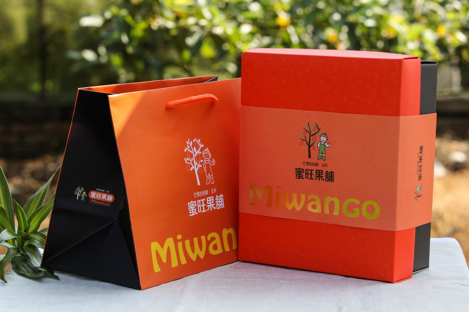 蜜旺嚴選果乾禮盒(愛文)