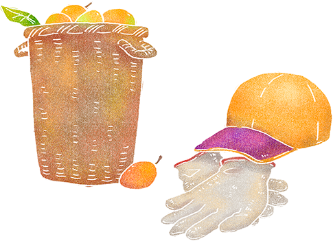 蜜旺果舖愛文芒果乾商務送禮