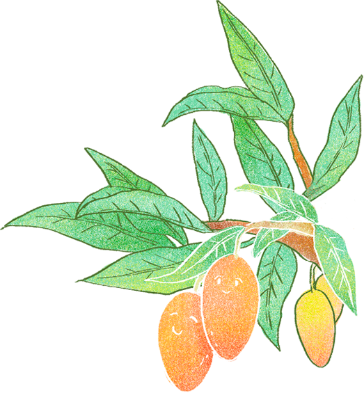 蜜旺果舖珍珠芭樂乾禮盒