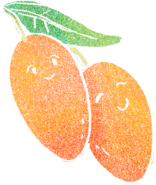 台南玉井蜜旺果舖四季禮盒