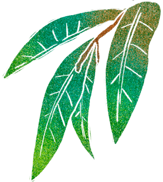 紅心芭樂乾無添加