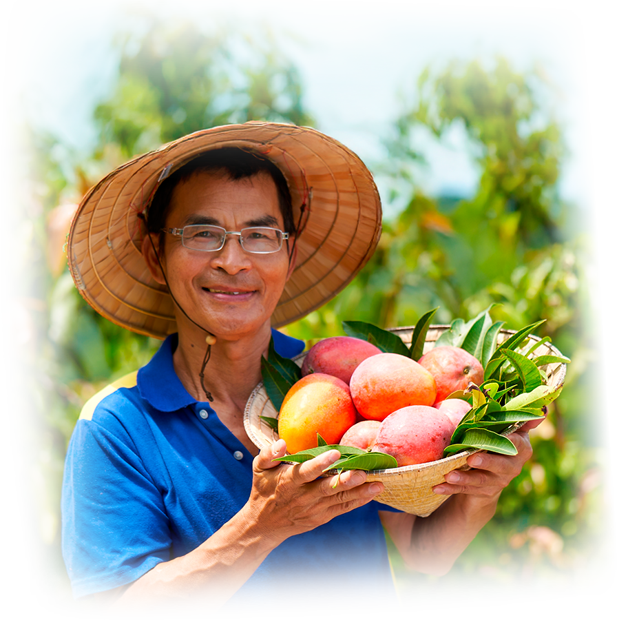 台南玉井芒果園台南農村好物
